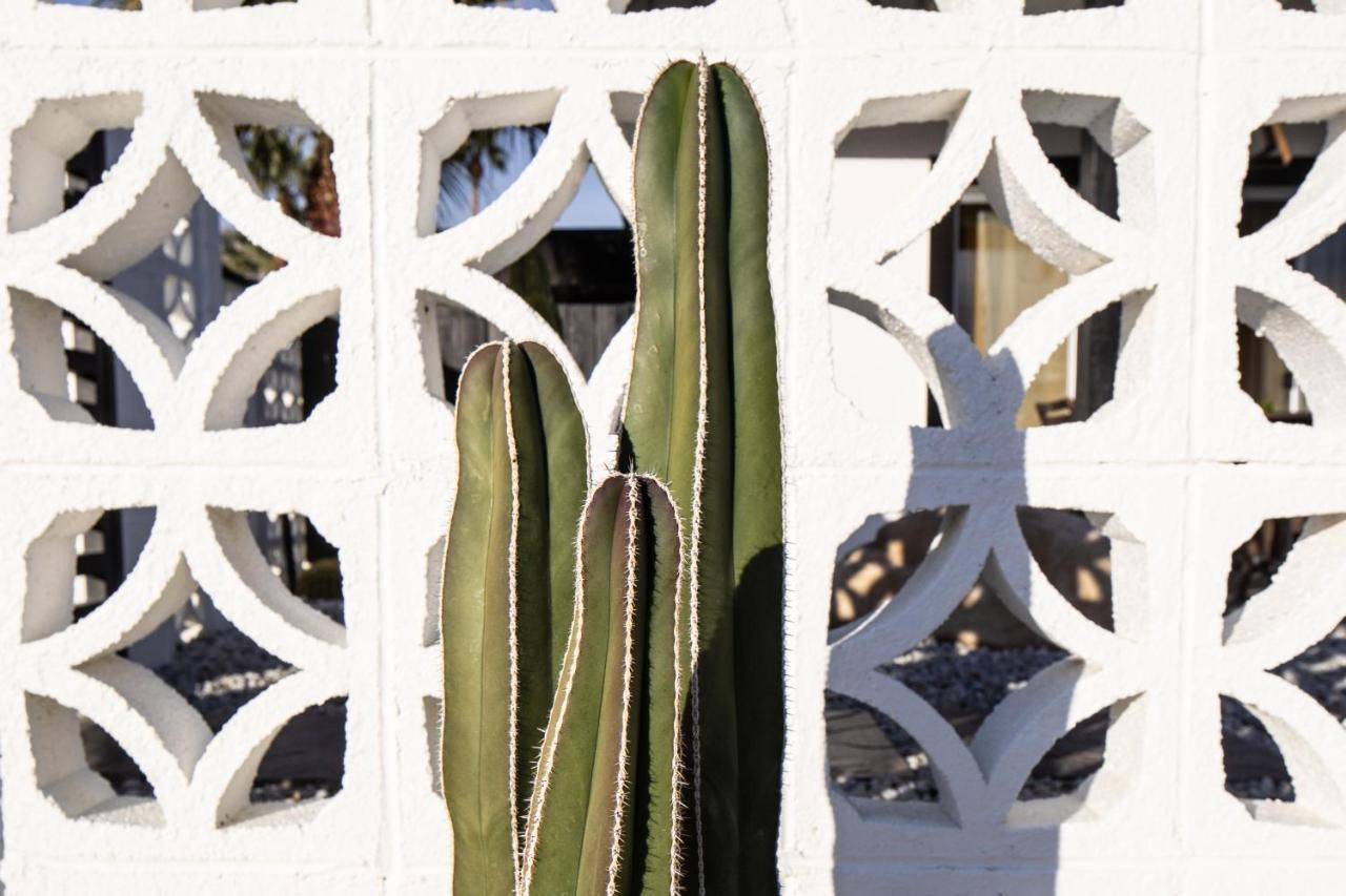 Mid-Century Modern Home In Beautiful ラキンタ エクステリア 写真